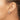 14k White Gold Polished & D/C Circle Post Earrings - Image 3